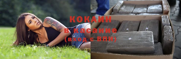 гидра Лагань