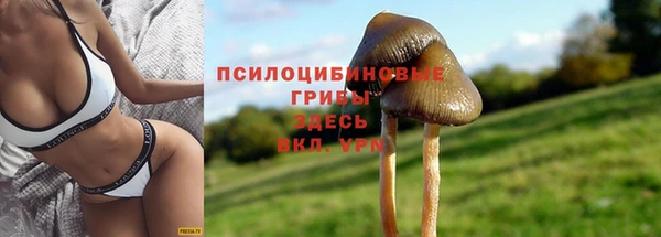 PSILOCYBIN Липки