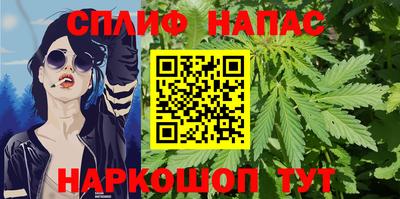 бошки Гай