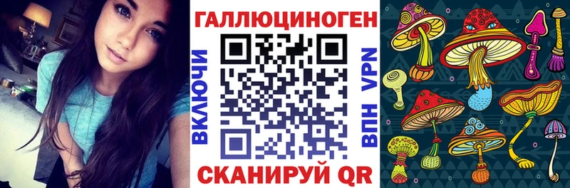 Псилоцибиновые грибы ЛСД  площадка как зайти  Сухой Лог  где продают  